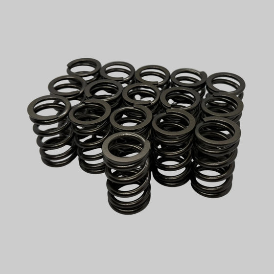 BK Racing Ecotec 83 lb Drop-In Valve Springs – Set of 16