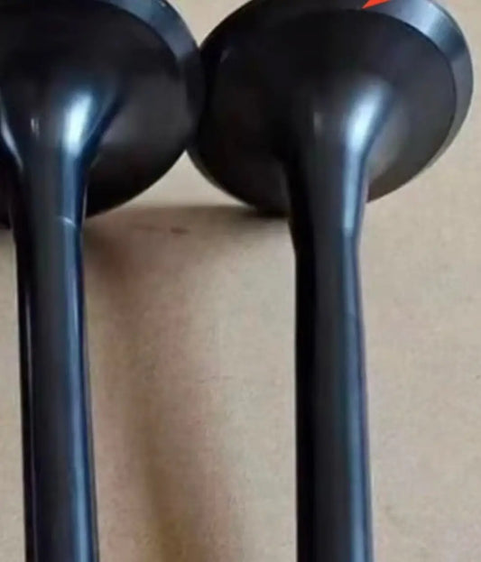 Ecotec Exhaust Valve Size Guide: Stock Diameter, Stem Size &amp; Applications