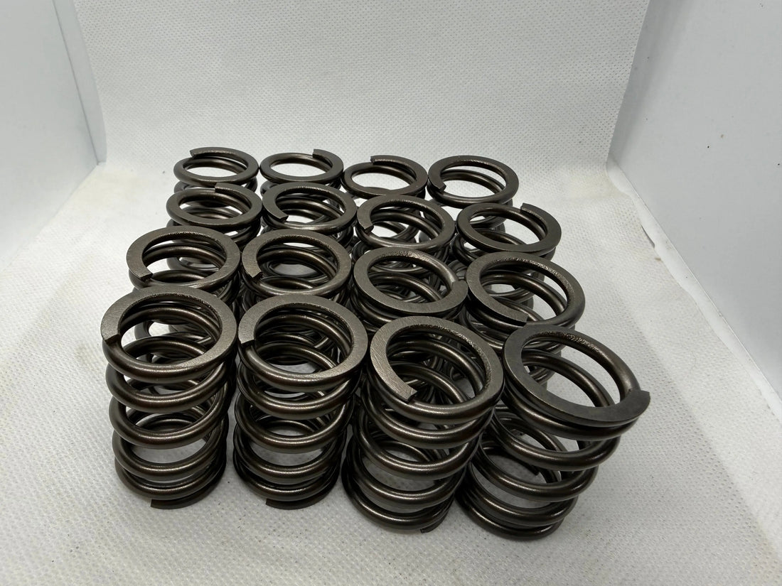 Why We Designed the BK Racing 83 lb Ecotec Valve Spring