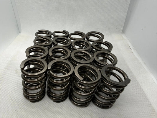 Why We Designed the BK Racing 83 lb Ecotec Valve Spring