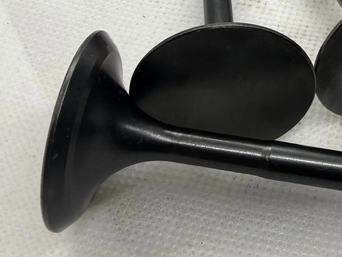 Exhaust Valve Close up