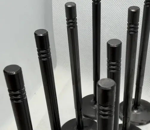 Standard vs Extended-Tip Ecotec Intake Valves: Which HF35.6 Do You Need?