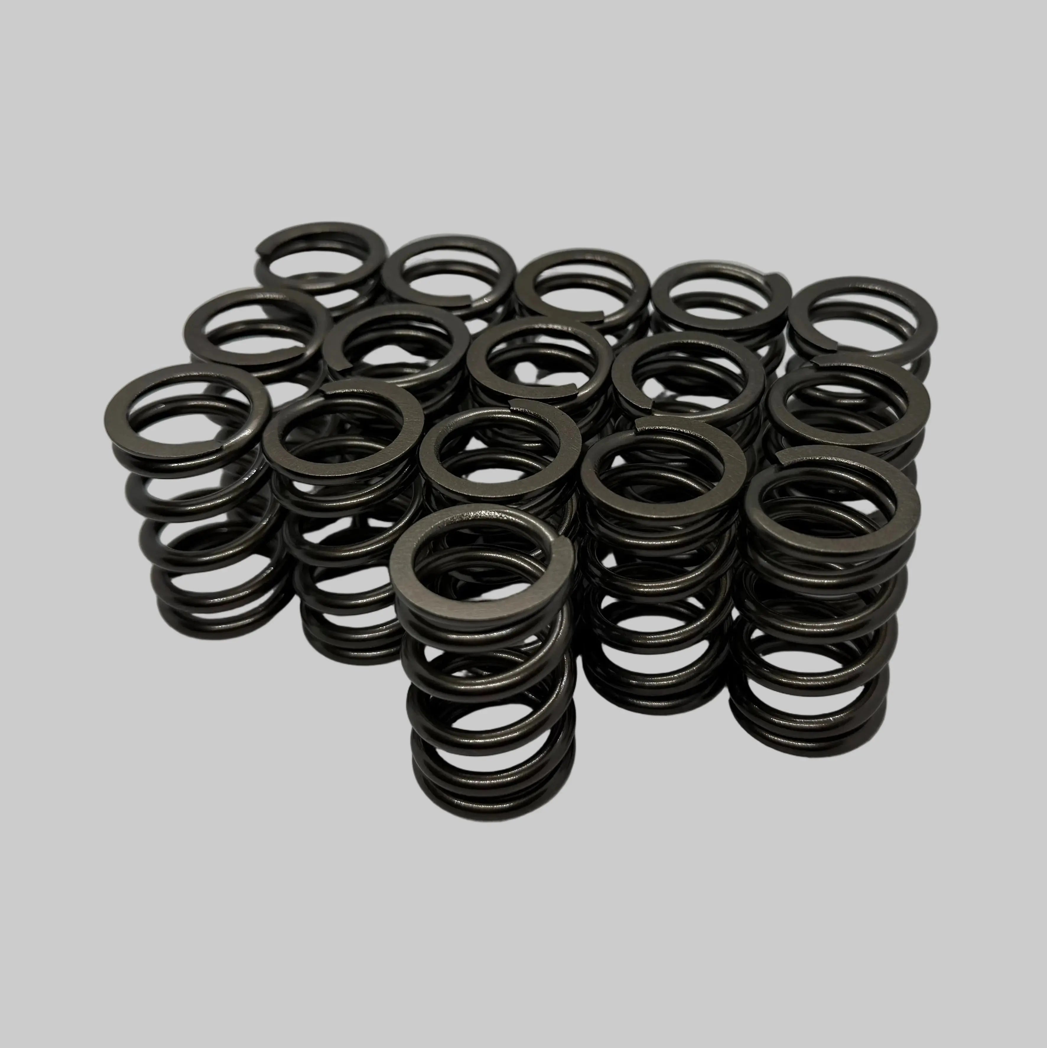 BK Racing 83# Drop-In Single Valve Springs BK Racing