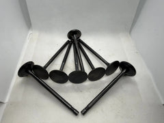 BK Racing Performance Ecotec Valve BUNDLE | Intake & Exhaust