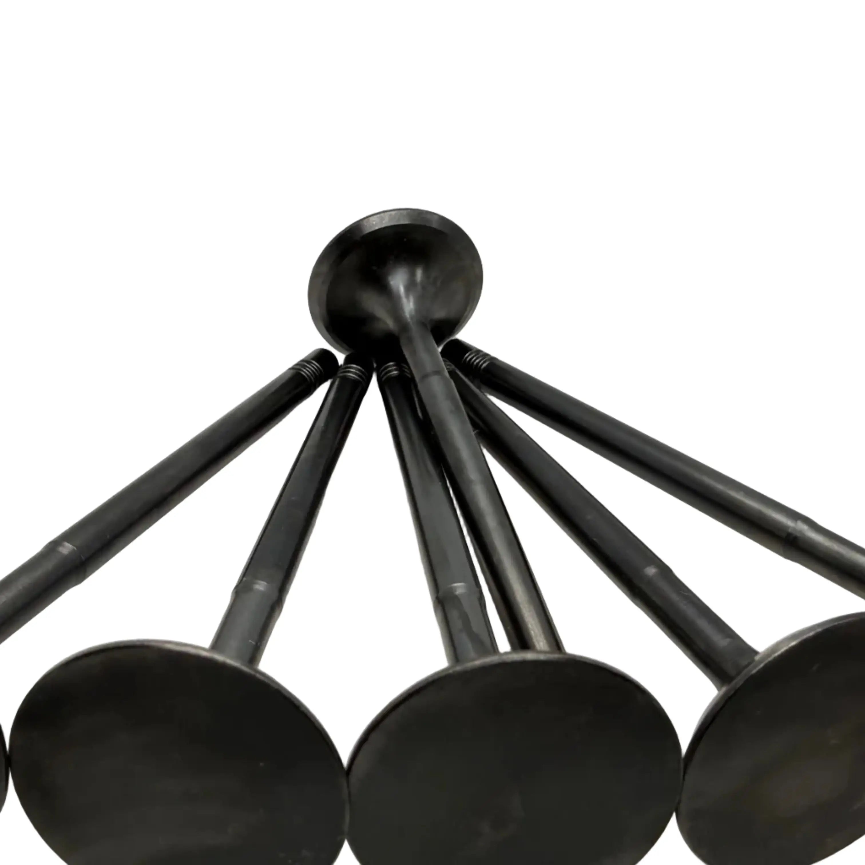 BK Racing Exhaust Valves close up