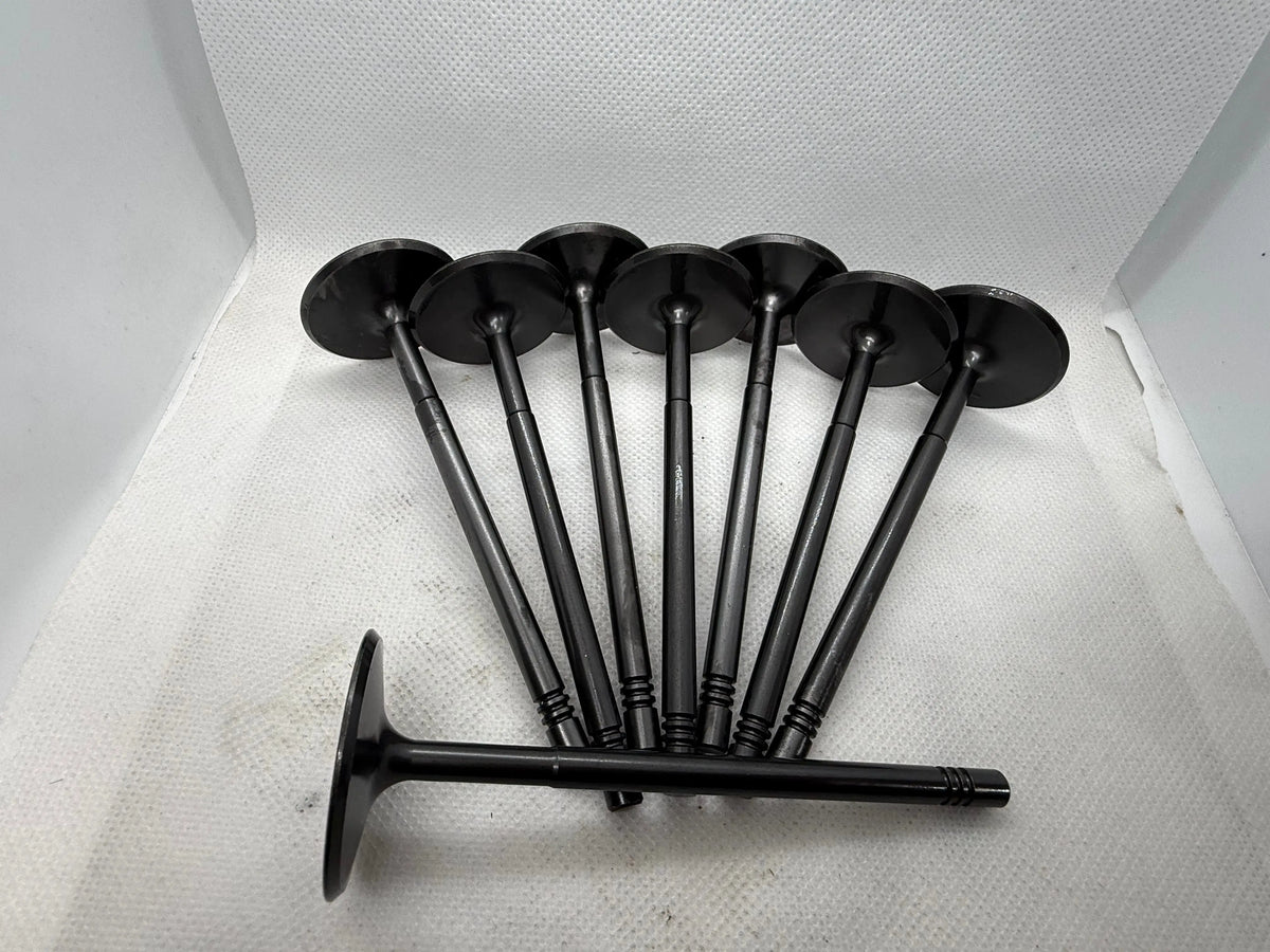 BK Racing Performance Ecotec Valve BUNDLE | Intake & Exhaust